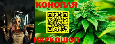 индика Краснознаменск