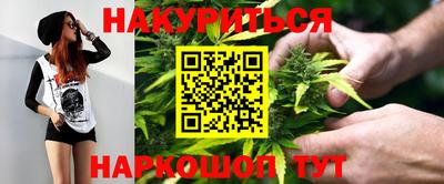 индика Краснознаменск