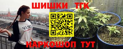 индика Краснознаменск