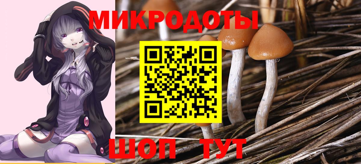 Псилоцибиновые грибы Psilocybine cubensis  Вход с VPN  Знаменск 